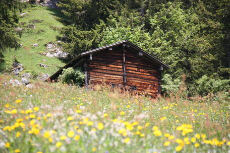 img_1095-2.jpg img_1095-2.jpg