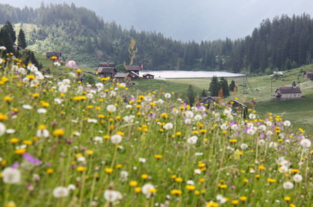 golzern_3713.jpg golzern_3713.jpg